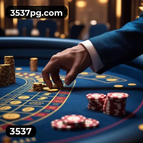 Níveis do programa VIP da 3537
